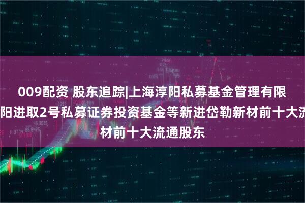 009配资 股东追踪|上海淳阳私募基金管理有限公司-淳阳进取2号私募证券投资基金等新进岱勒新材前十大流通股东