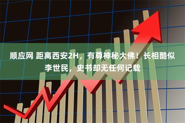 顺应网 距离西安2H，有尊神秘大佛！长相酷似李世民，史书却无任何记载