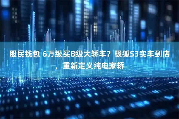 股民钱包 6万级买B级大轿车？极狐S3实车到店，重新定义纯电家轿